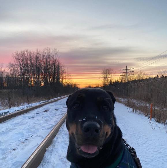 Meet your Posher, Jeni - Picture 1 of 1